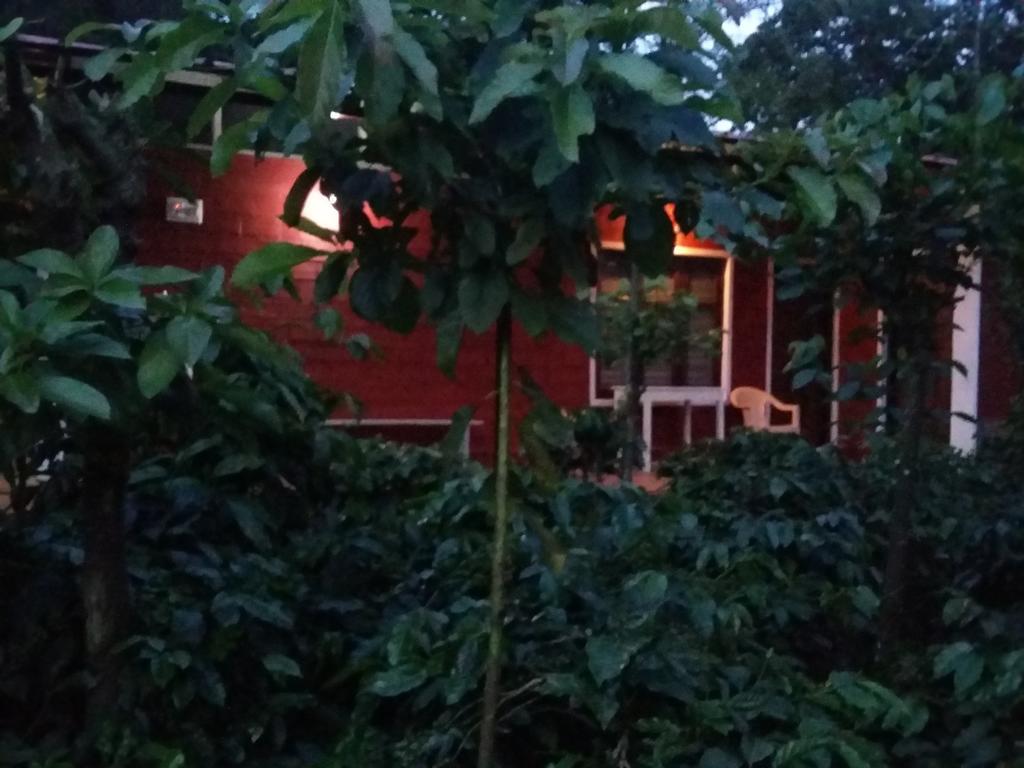 Athena Homestay Somvārpet Εξωτερικό φωτογραφία