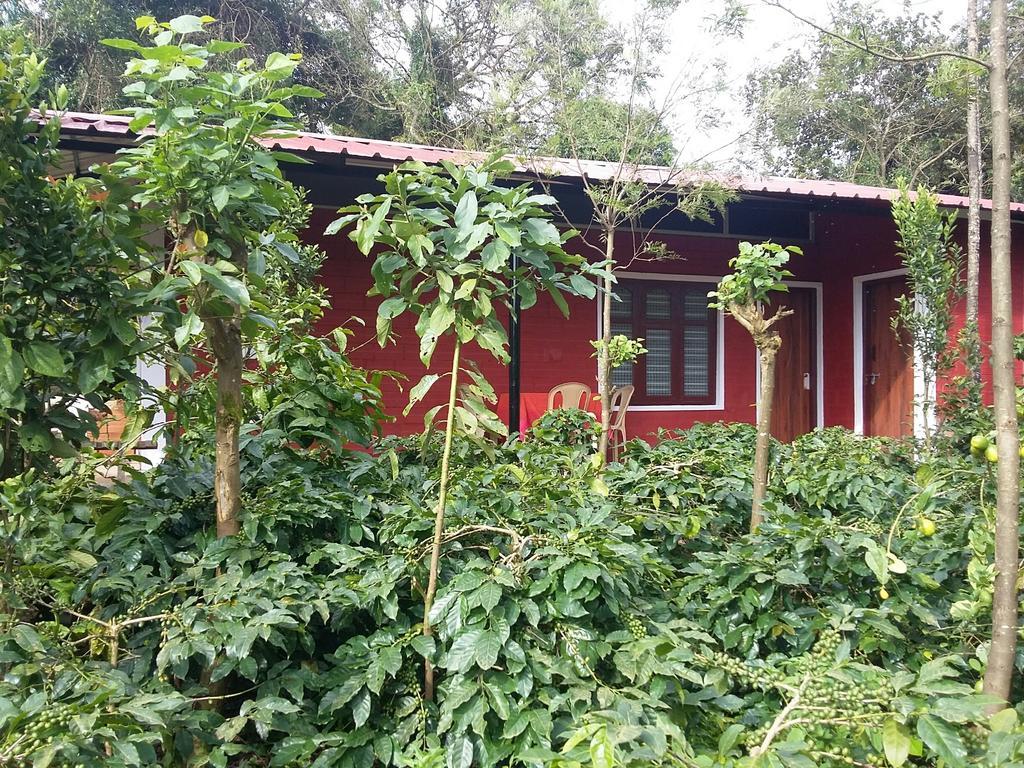Athena Homestay Somvārpet Εξωτερικό φωτογραφία